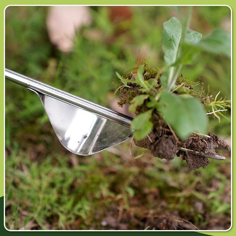 50% Rabatt | PlantPull™ | Jätarbeit schnell und rückenschonend erledigen