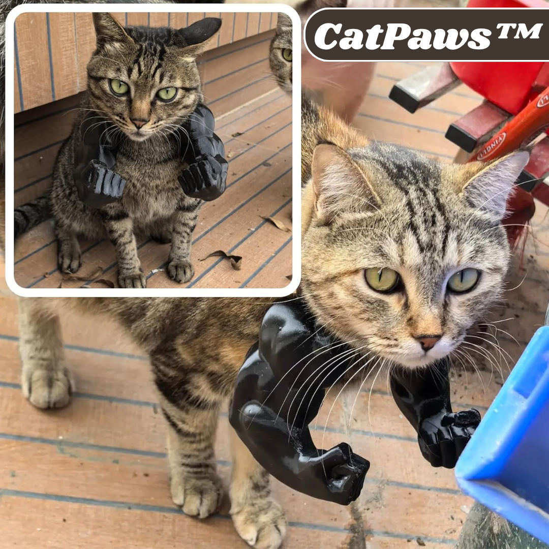 1+1 GRATIS | CatPaws™ | Superhelden-Katzenarme