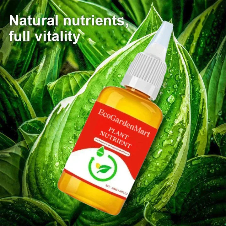 2+1 GRATIS | RootRise™ | Schnellere Pflanzenregeneration