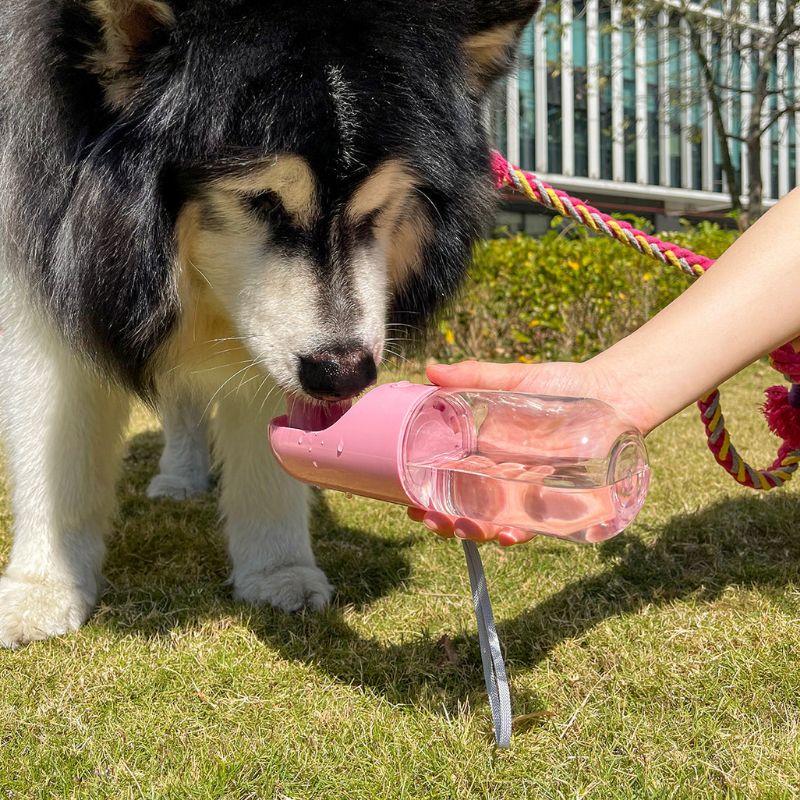 HydroPet™ | Tragbare Wasserflasche für Haustiere