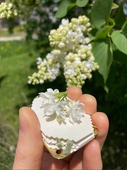 Bloomie™ | Mikro-Blumenpresse