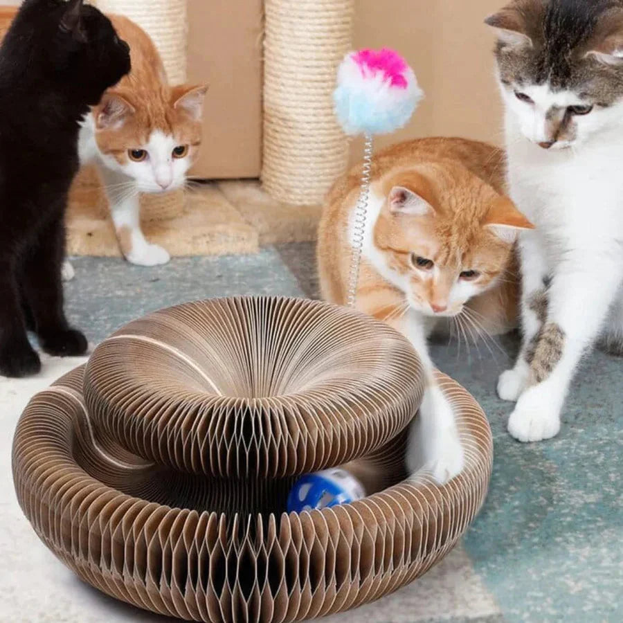 1+1 Gratis | PetStory™ | Innofative Katzenspielzeug