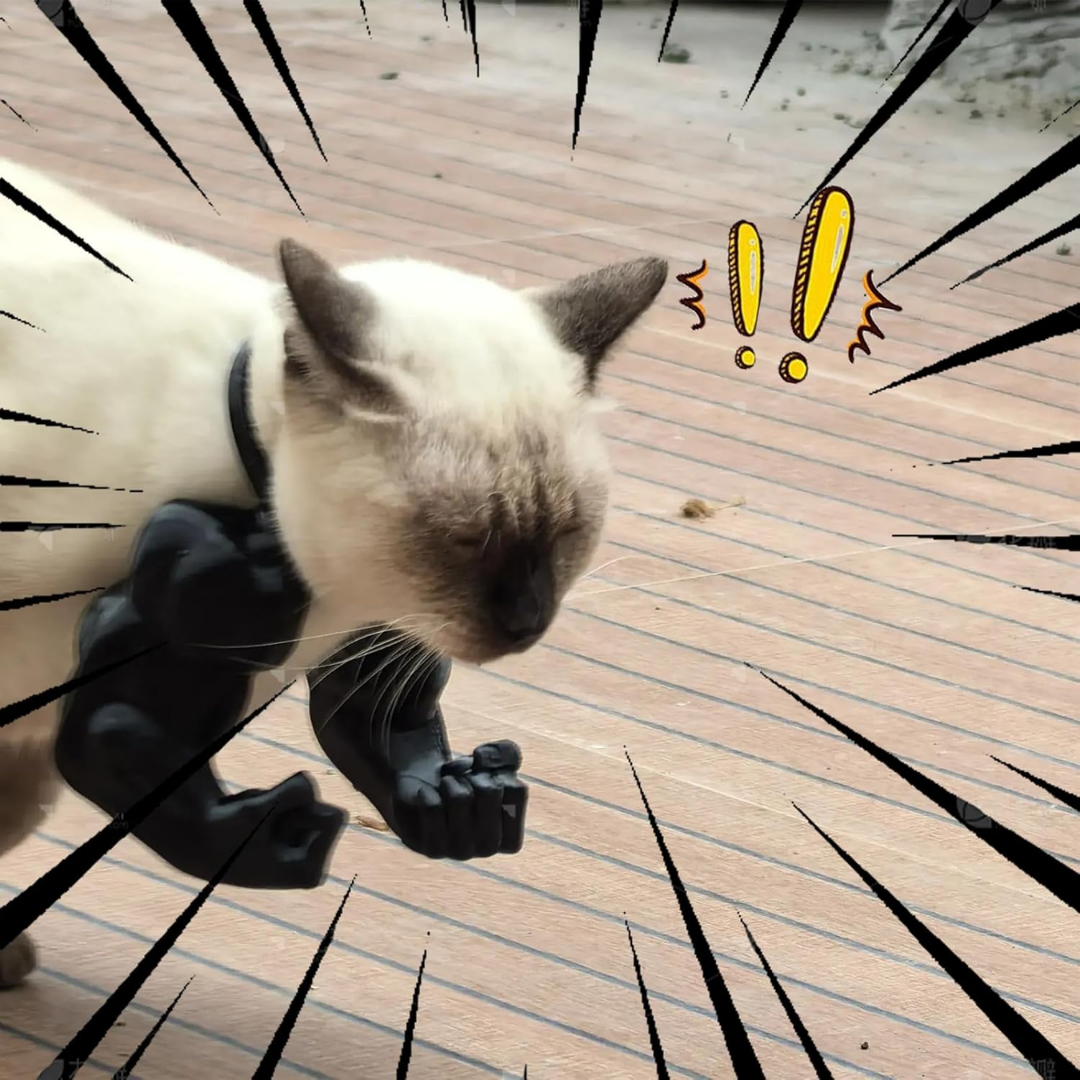 1+1 GRATIS | CatPaws™ | Superhelden-Katzenarme