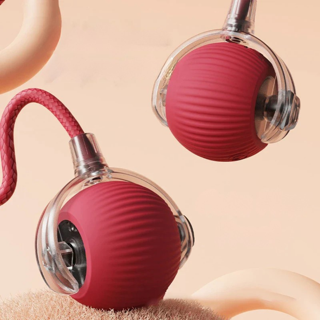 PetOrbit™ | Haustier Interaktiver Rollender Ball