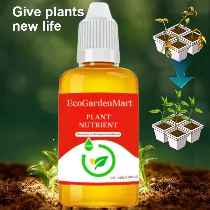 2+1 GRATIS | RootRise™ | Schnellere Pflanzenregeneration