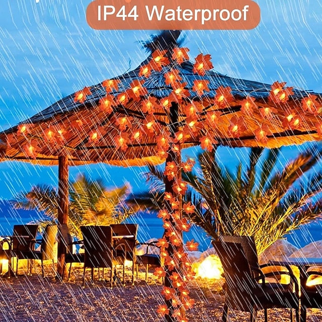 50% Rabatt | AutumnLed™ | Warmweißes Licht, USB- & batteriebetrieben, perfekte Herbstdeko für Innen & Außen