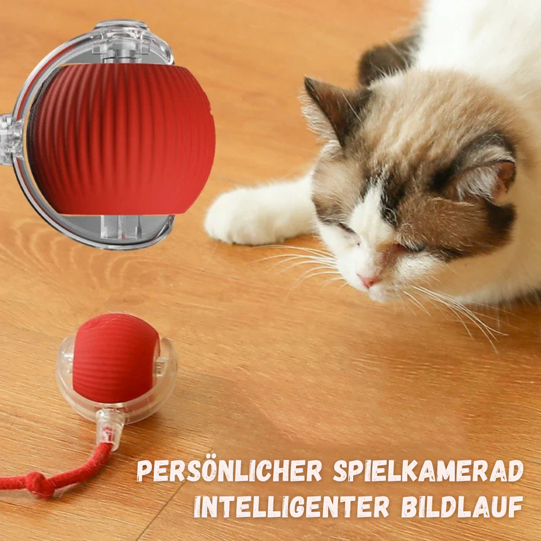 PetOrbit™ | Haustier Interaktiver Rollender Ball
