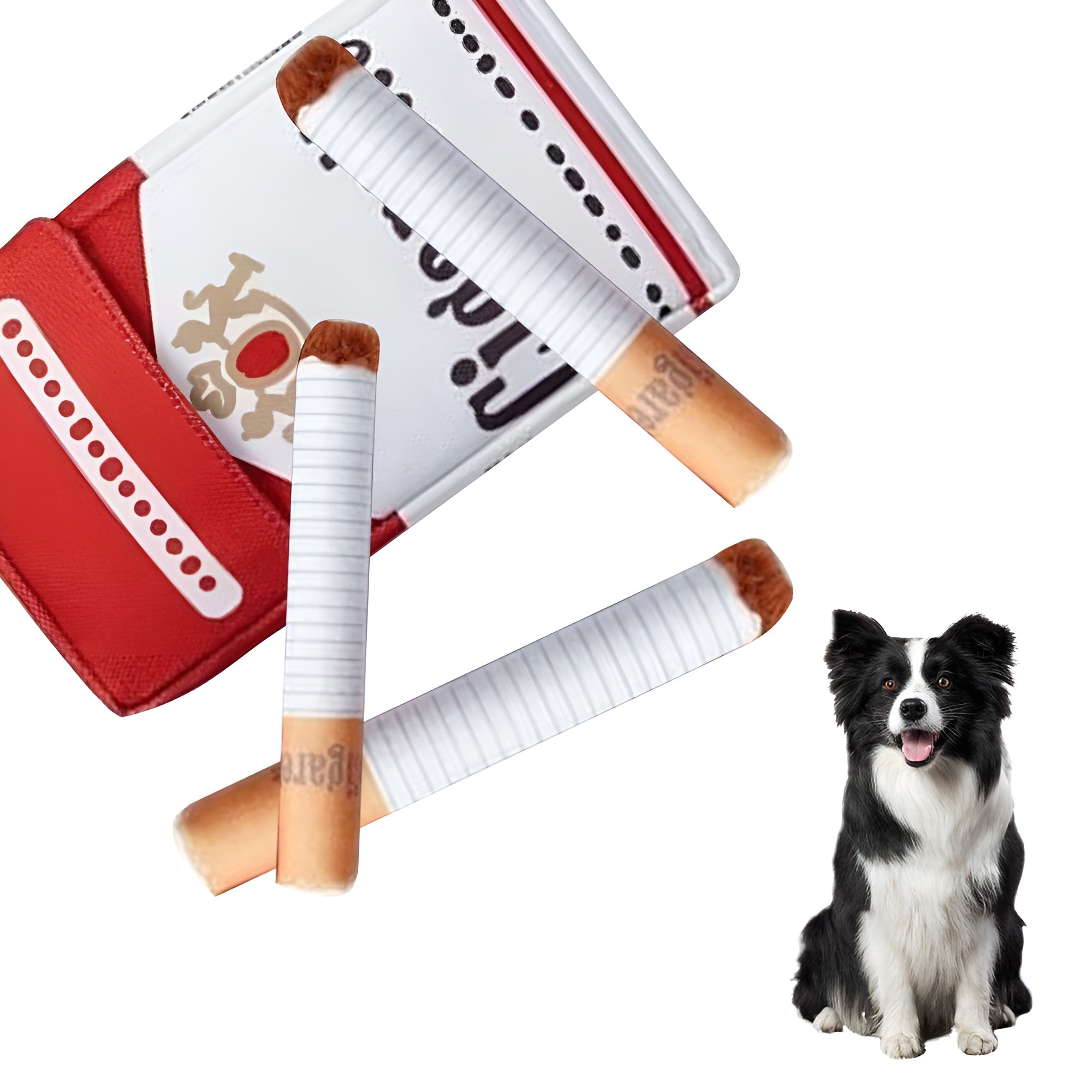 50% RABATT | CuddleCig | Urkomischer Spaß für Ihren Welpen