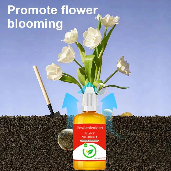 2+1 GRATIS | RootRise™ | Schnellere Pflanzenregeneration