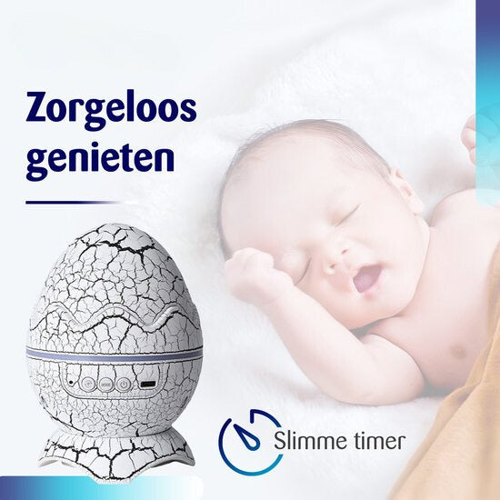DinoDream™ | Zauberhafte Nächte für alle Altersgruppen!