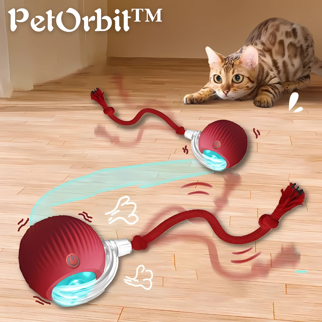 PetOrbit™ | Haustier Interaktiver Rollender Ball