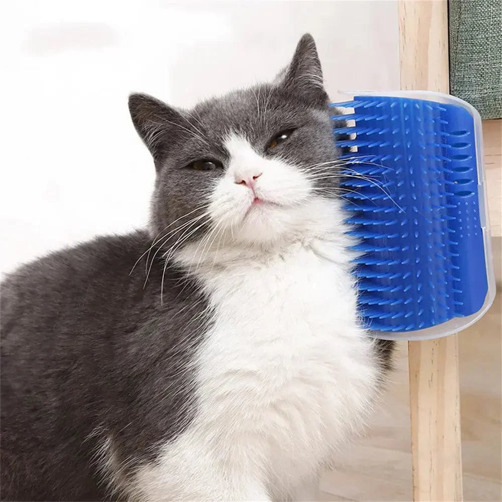 1+1 GRATIS | KatzenScratz | Katzen Groomer Selbstbürste