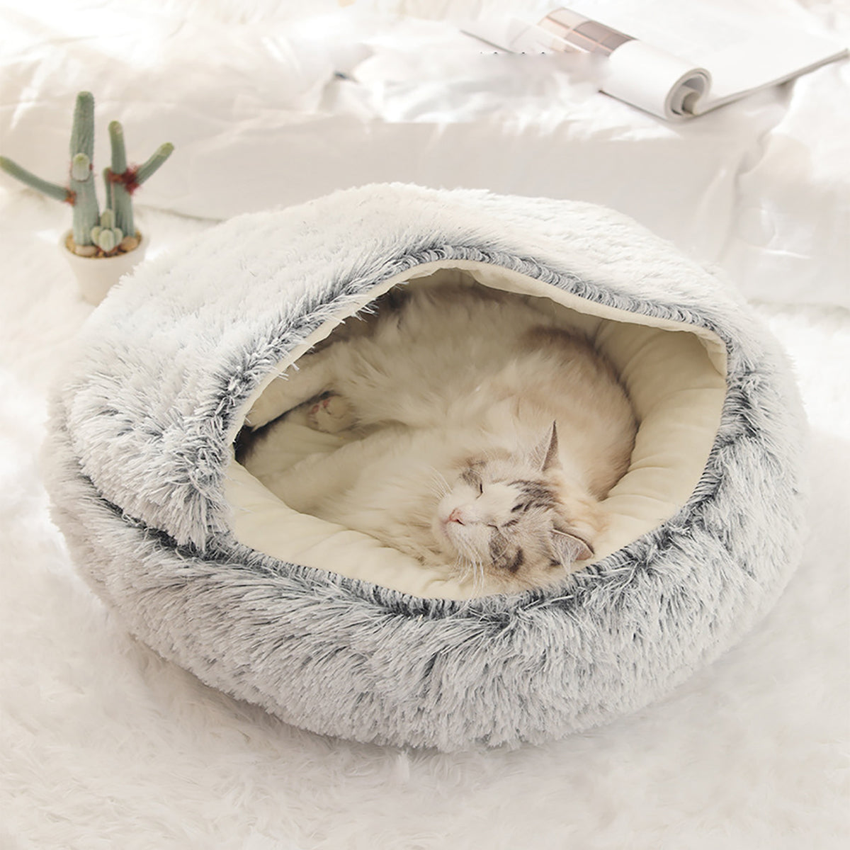 ComfyPaws™ | Traumhaftes Tierheim