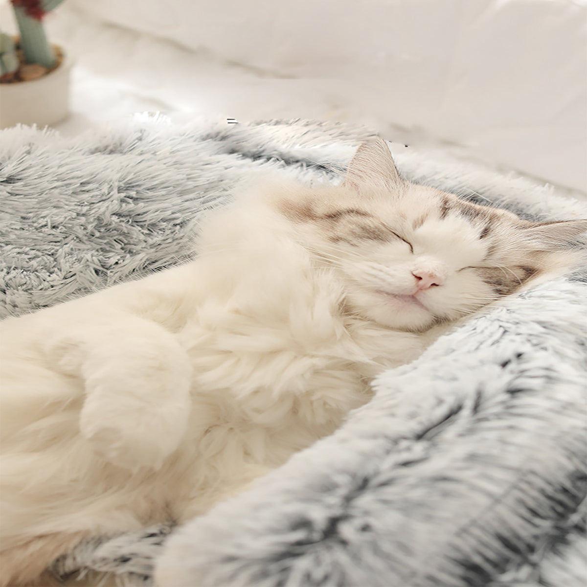 ComfyPaws™ | Traumhaftes Tierheim