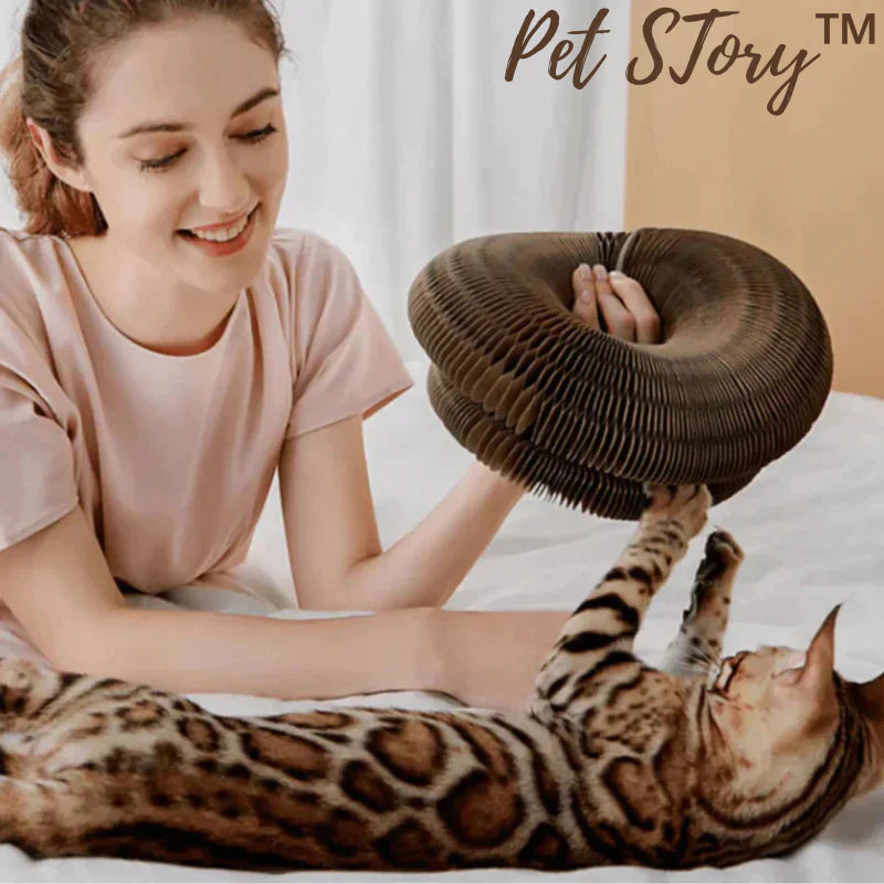 1+1 Gratis | PetStory™ | Innofative Katzenspielzeug