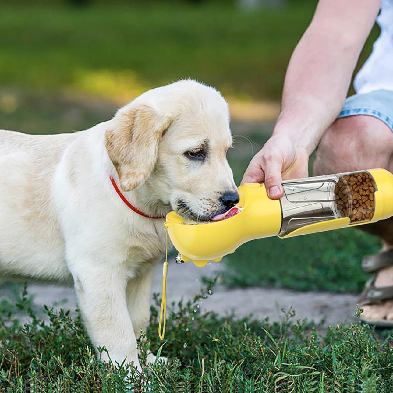 DogViva™ | Sofortige Flüssigkeitszufuhr für glückliche, energiegeladene Hunde