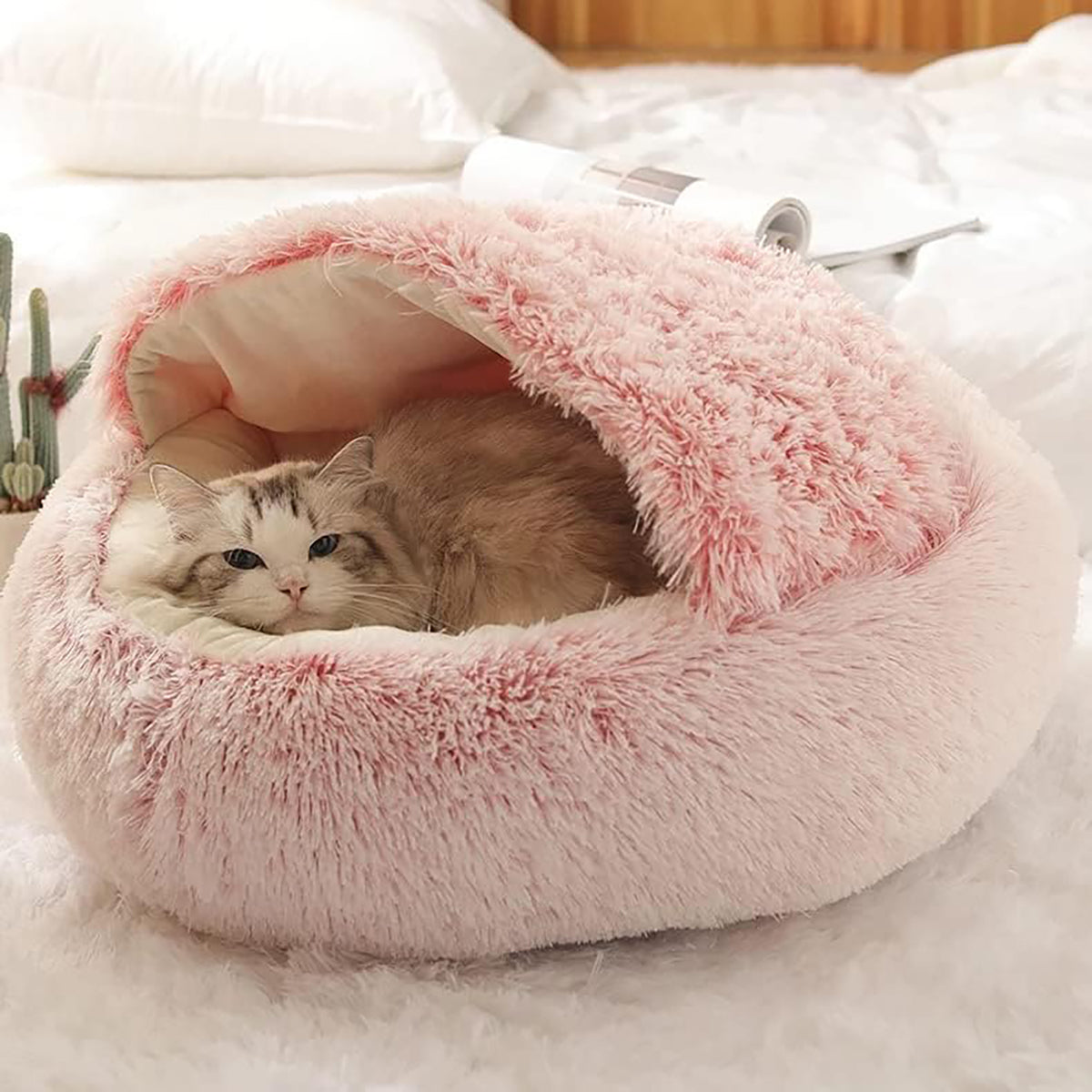 ComfyPaws™ | Traumhaftes Tierheim
