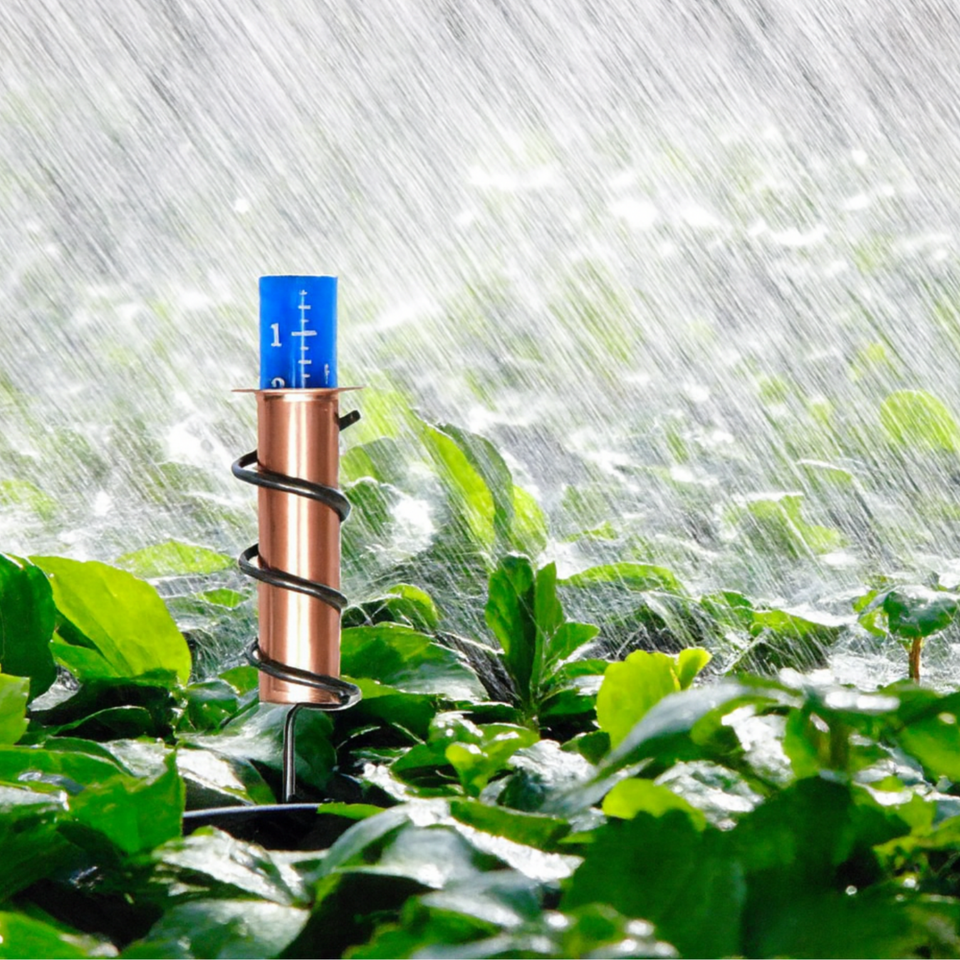 AquaCopper™ | Regenmessung mit antikem Charme!