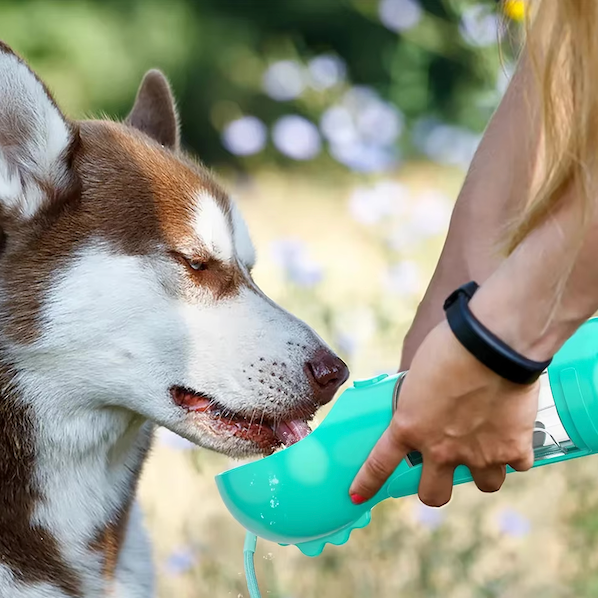DogViva™ | Sofortige Flüssigkeitszufuhr für glückliche, energiegeladene Hunde