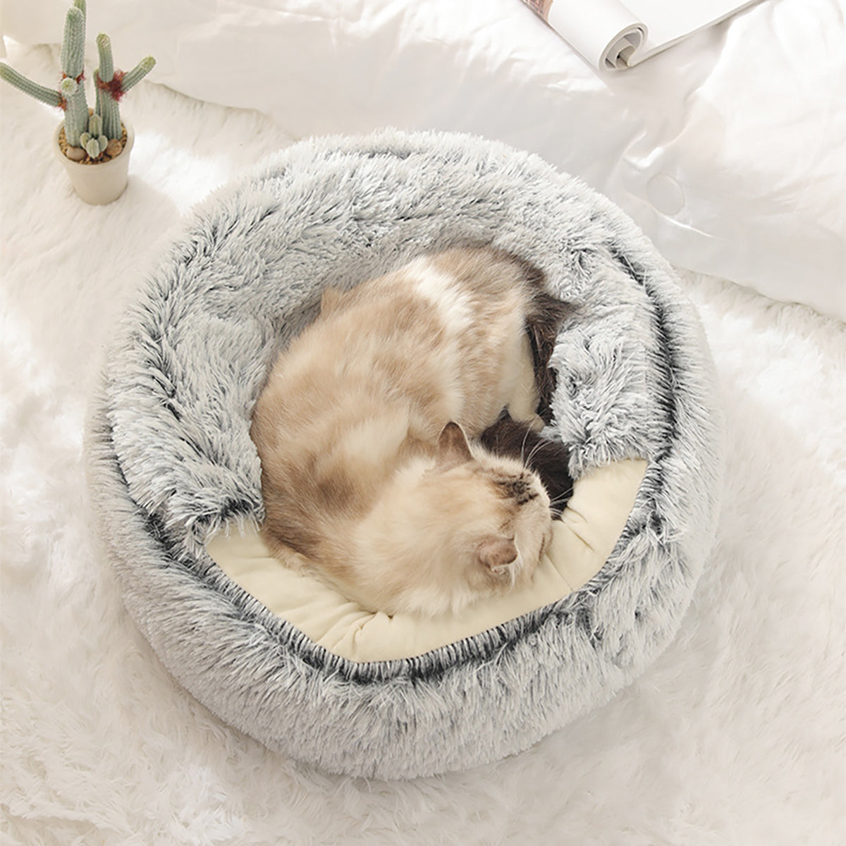 ComfyPaws™ | Traumhaftes Tierheim