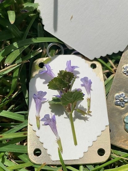 Bloomie™ | Mikro-Blumenpresse