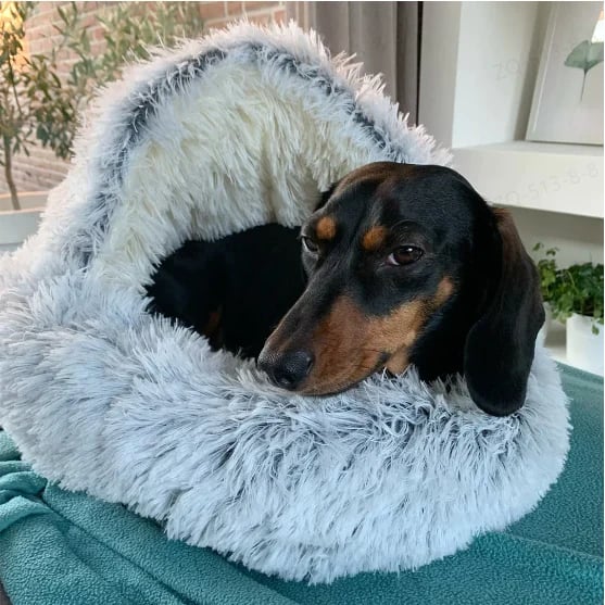 ComfyPaws™ | Traumhaftes Tierheim