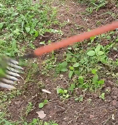 WeedEase™ | Unkrautrechen Werkzeug