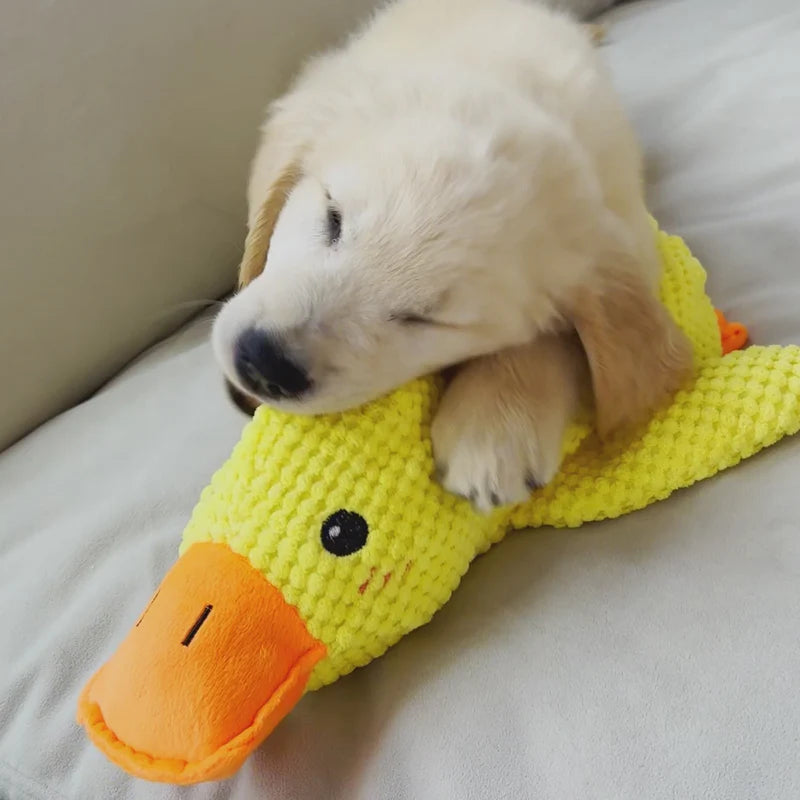 50% RABATT | TuffDuck™ | Das beruhigende und interaktive Hundespielzeug für endlosen Spaß, Stressabbau und gesundes Spielen!