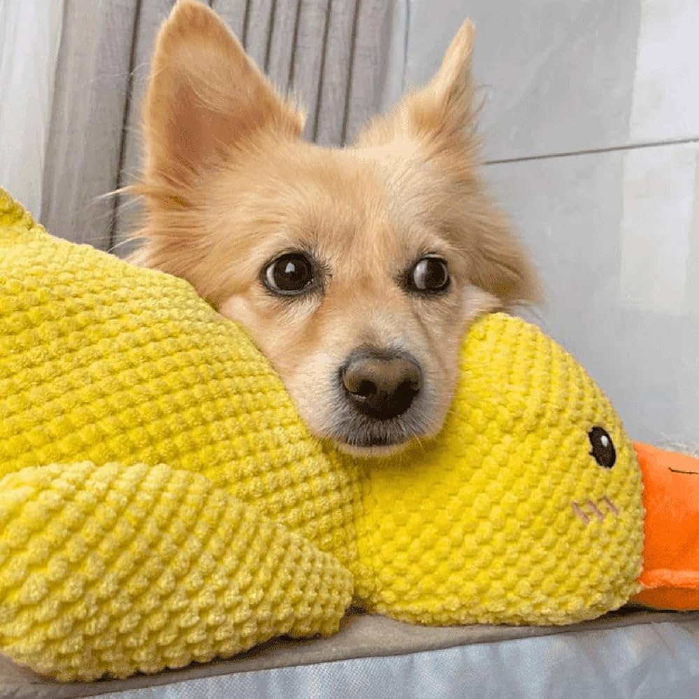 50% RABATT | TuffDuck™ | Das beruhigende und interaktive Hundespielzeug für endlosen Spaß, Stressabbau und gesundes Spielen!
