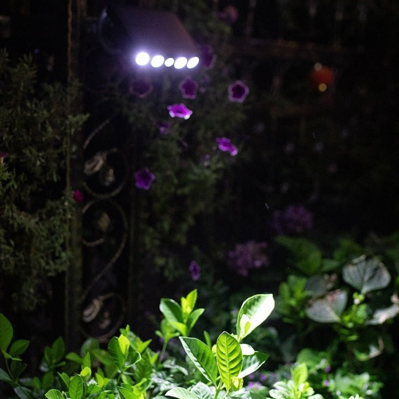 SolarSecure™ | Sicherheit bei Nacht ohne Stromkosten
