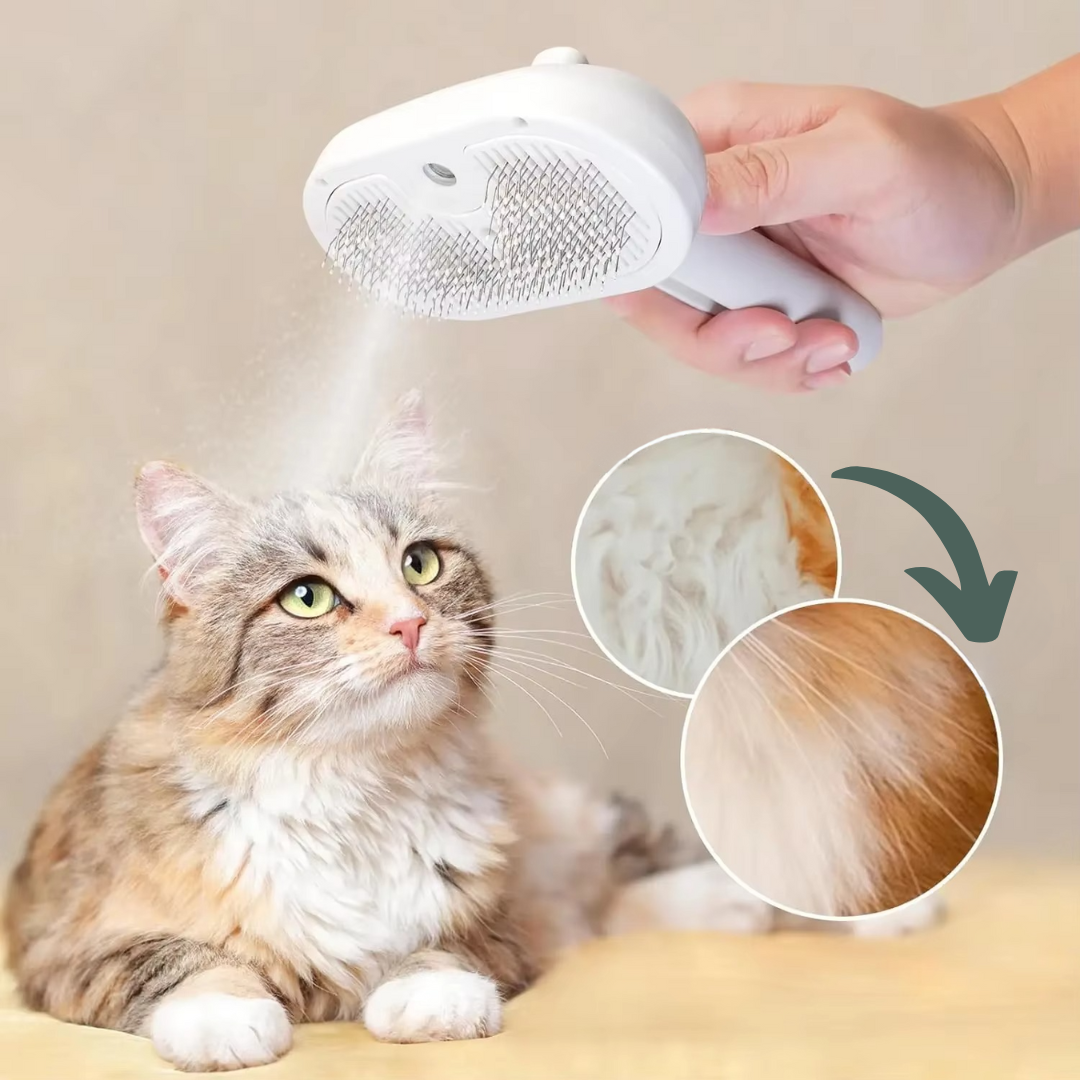 FurBuddy™ | Haustier Spray Massagebürste