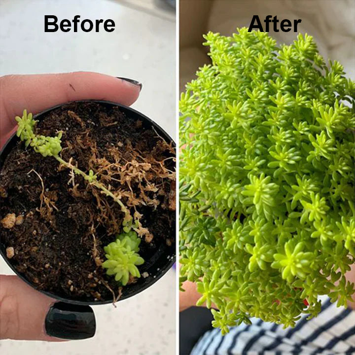 2+1 GRATIS | RootRise™ | Schnellere Pflanzenregeneration