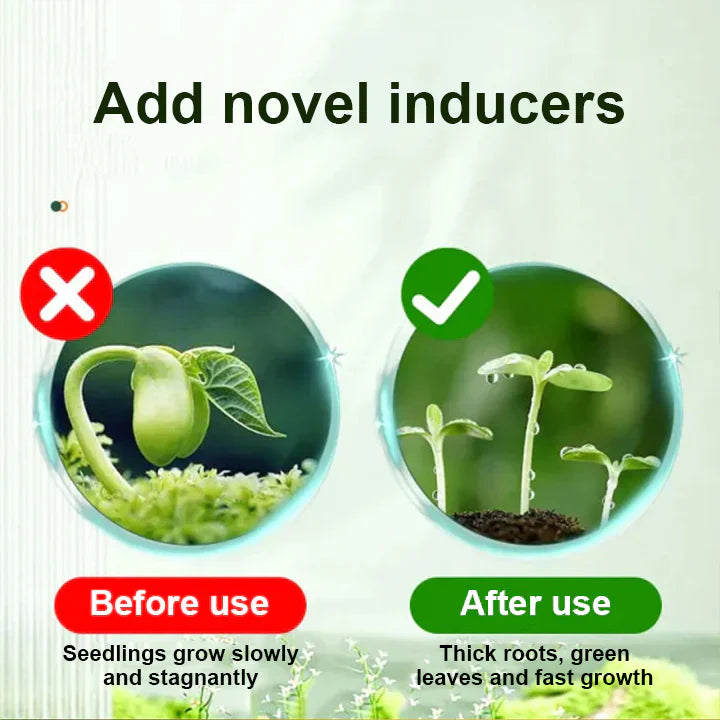 2+1 GRATIS | RootRise™ | Schnellere Pflanzenregeneration