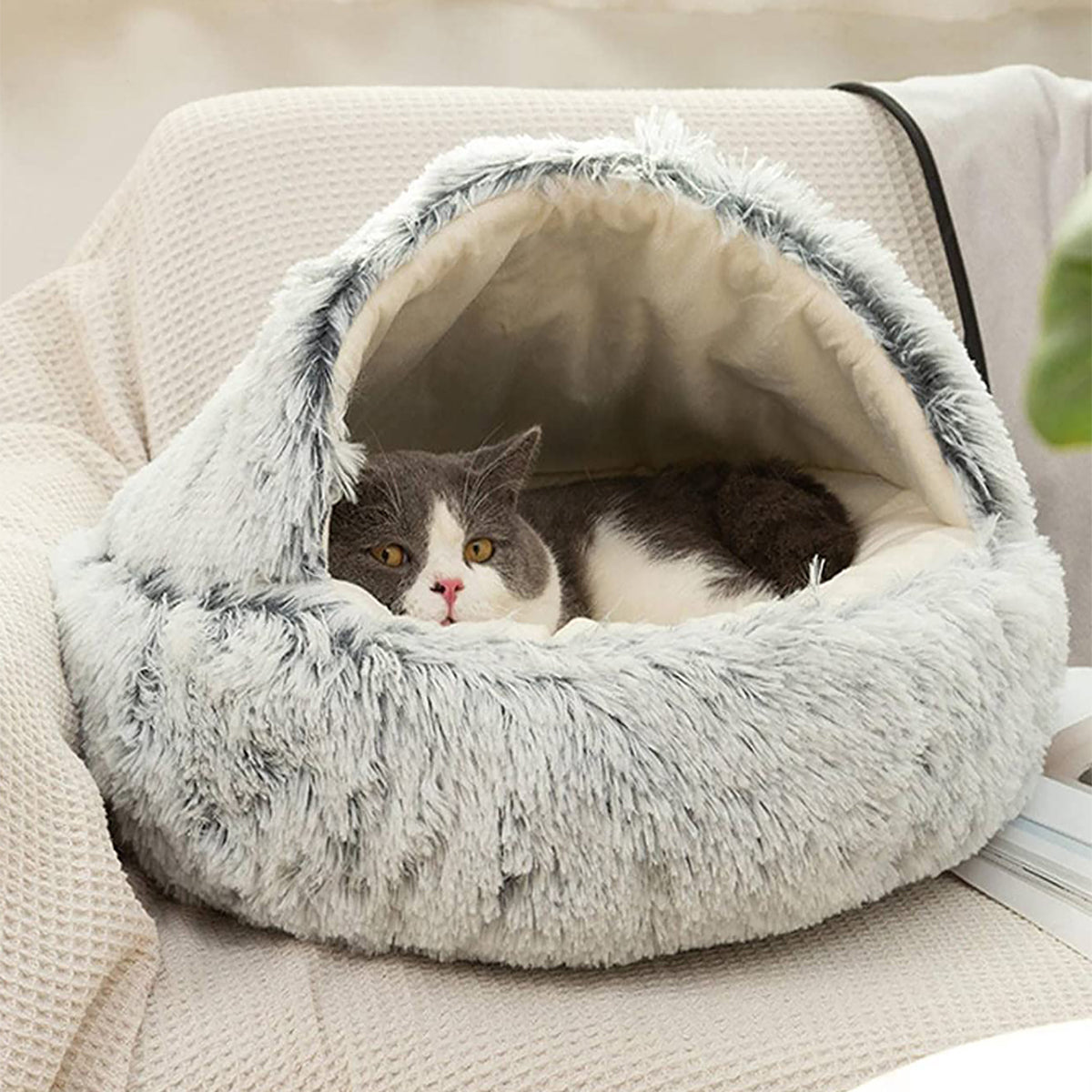 ComfyPaws™ | Traumhaftes Tierheim