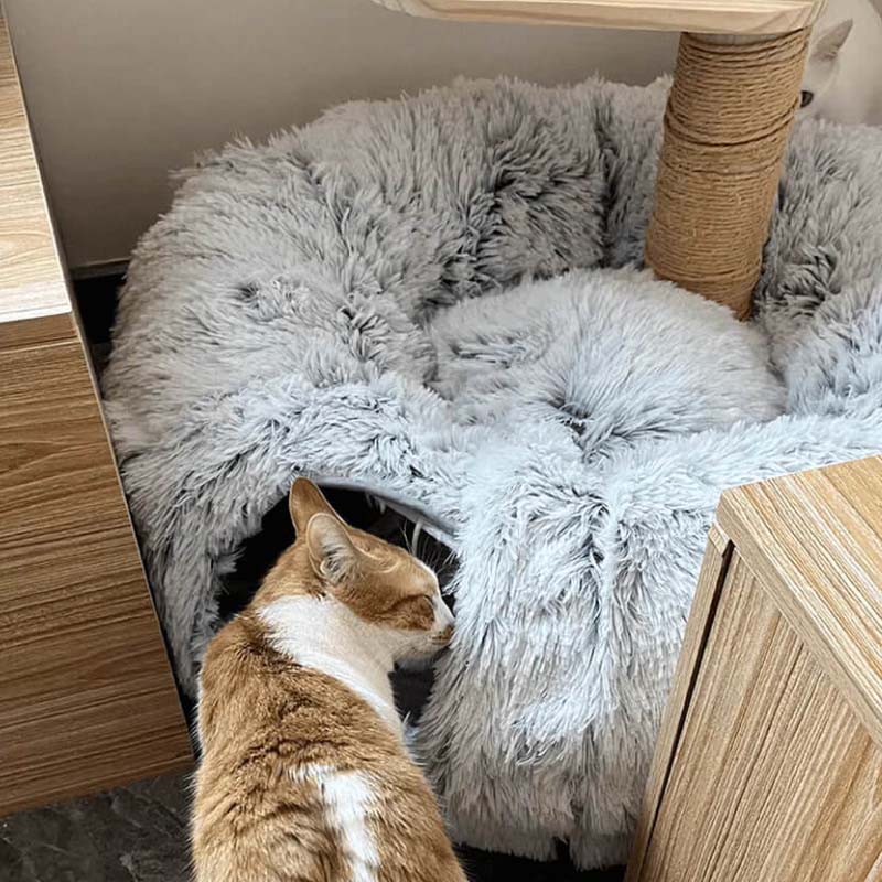 PurrLuxe™ | 2-in-1 Faltbares Katzentunnel-Bett
